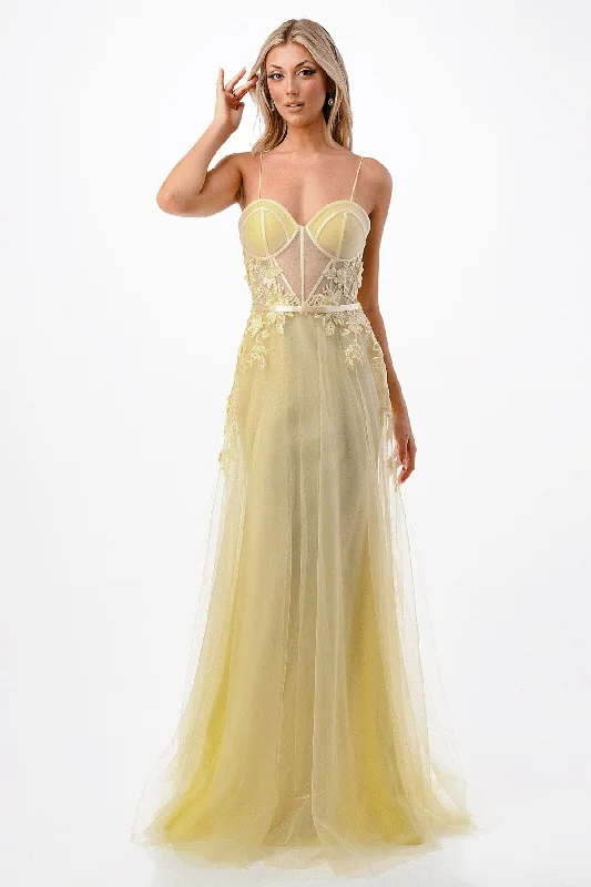 Evening dress for exclusive soirée-Floral Applique Sheer Bustier Gown by Coya P2110